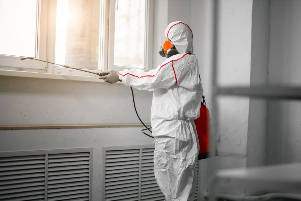 Professional mold remediation services in Broadway, OH